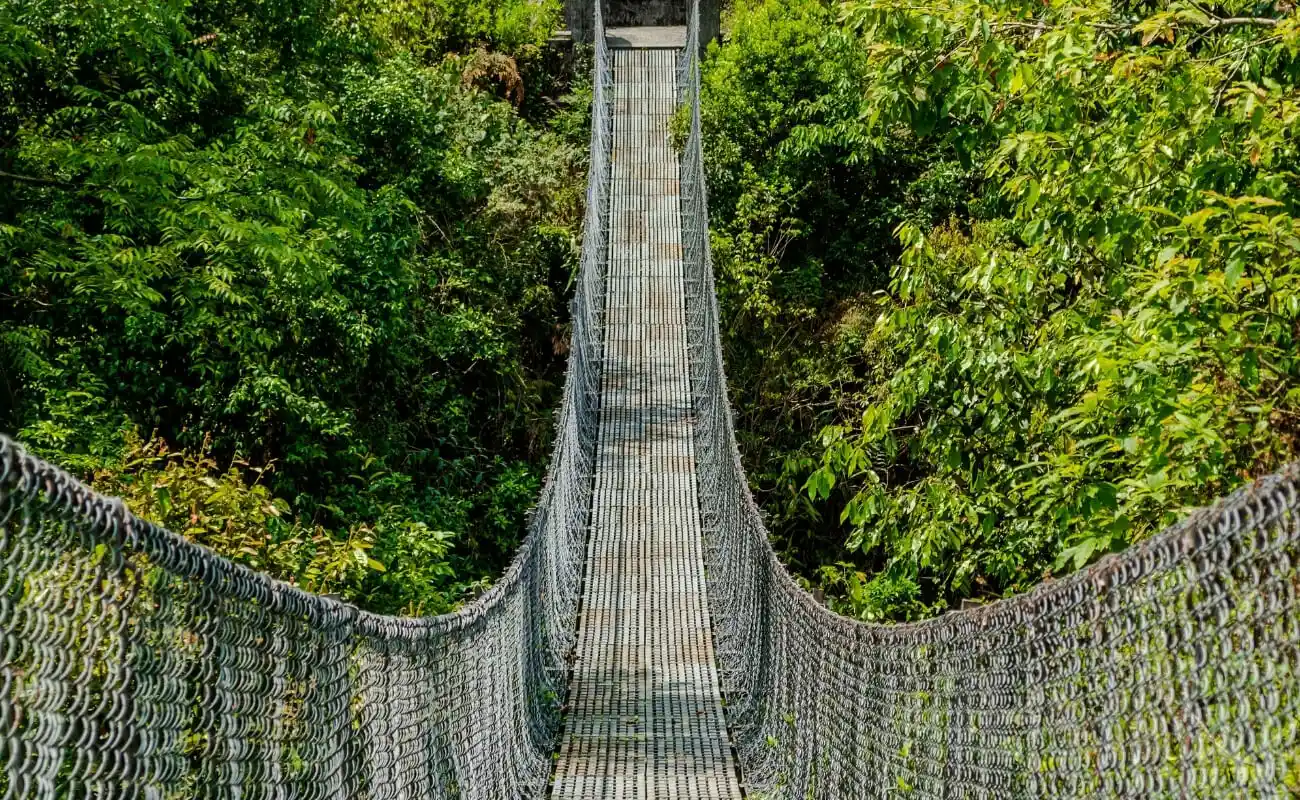 Suspension Bridge Panchase